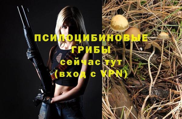 прущая мука Арсеньев