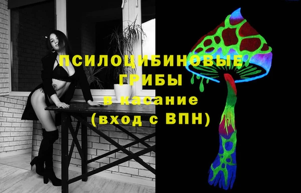 альфа пвп Армянск