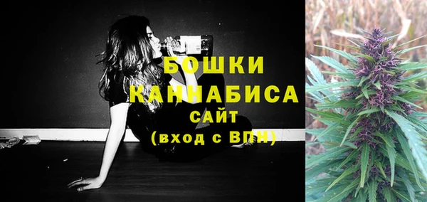 прущая мука Арсеньев