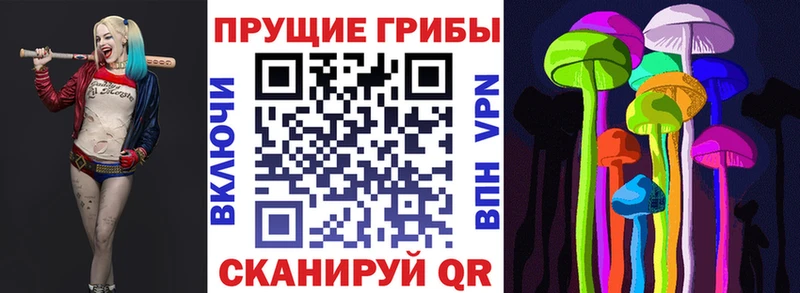 Галлюциногенные грибы Magic Shrooms  mega как зайти  Горно-Алтайск 